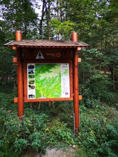 Haus Hirtenbergblick - 9