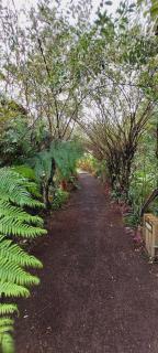 Sete Cidades Lake Lodge - 4