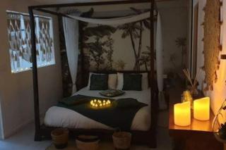 Gîtes Mas des rochers - Romance tropicale avec Spa - Le Beausset - 1