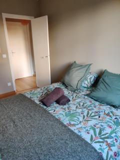 Appartement du parc des thermes - Thonon-les-Bains - 3