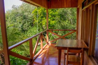 Hotel Holístico Monteverde - Monteverde - 5