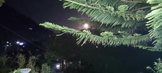 Green House - Nallathanniya - 3