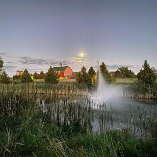 The Eddie Hotel and Farm - Bloomfield - 6