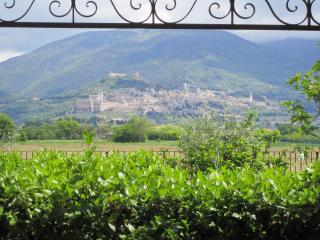 La Strada Di Francesco D'Assisi - Bastia Umbra - 6