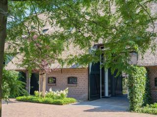 Grandeur Farmhouse in Dwingeloo at a National Park - 4