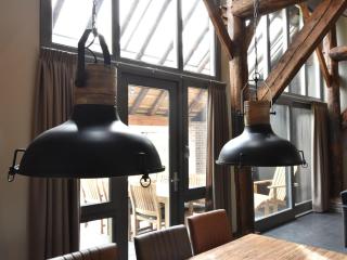 Grandeur Farmhouse in Dwingeloo at a National Park - 2