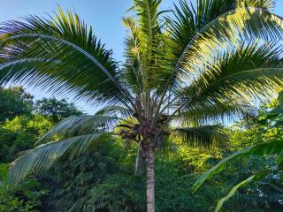MIVALS - Santa Marta - 7