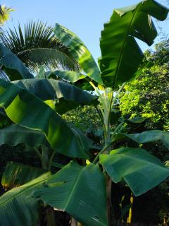 MIVALS - Santa Marta - 8
