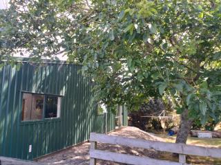 Karamu Homestead - Karamu - 3