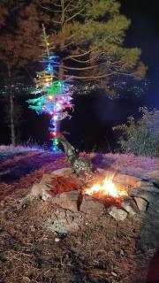 The City Escape Camping - Shimla - 4