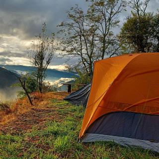 The City Escape Camping - Shimla - 0