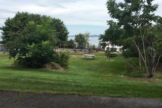 Birch Tree II - Bar Harbor - 1