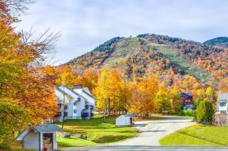 Sunrise Glade - Killington - 3