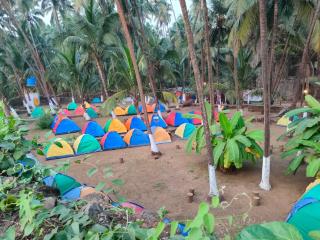 Tent by the bay, Alibaug Beach Camping, Revdanda - Alibaug - 6
