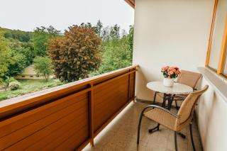 Hotel zum Kastell - Bad Tatzmannsdorf - 9