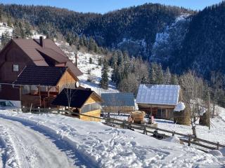 Pensiunea Amalia - 2