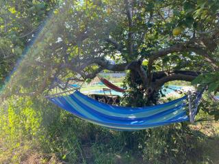 Chiclana Mobile House - Piscina , Wi-Fi, Relax - Chiclana de la Frontera - 3