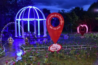 ฺBaan Rai Ing Doi - 7