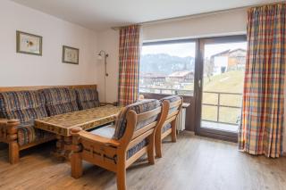 Sonnenblume - Obermaiselstein - 7