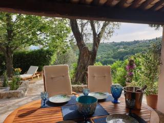 Pool House Renoir with heated pool and private garden - 9