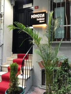 Mimoza İstiklal Apart Hotel - Istanbul - 0