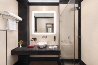 Ramada by Wyndham Varanasi Katesar - Chandauli - 9