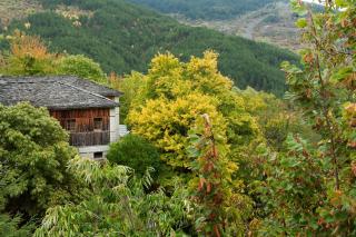 Katogi Averoff Hotel & Winery - Metsovo - 1