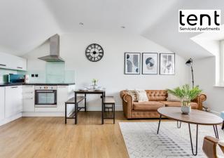 Central 1 BR apt , pkg, great for long term guests - 8