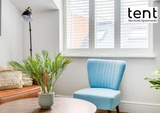 Central 1 BR apt , pkg, great for long term guests - 3