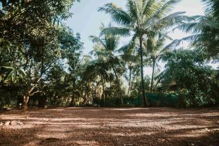 Forest Casa By Rashmiraj - Kashid Beach - Dānde - 4