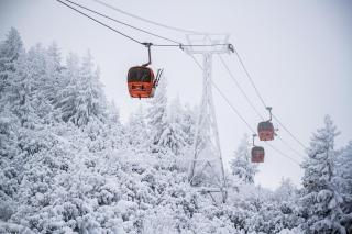 Studios -Villa Park SV - Borovets - 7