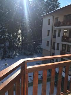 Studios -Villa Park SV - Borovets - 9