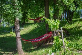 Holiday home in Rakovica with terrace, WiFi, washing machine 4488-2 - Rakovica - 8