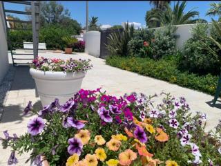 Villa Katy Salento - Campomarino - 1