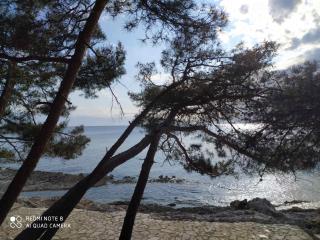 Apartments Marlen - Mali Lošinj - 4