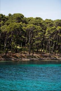 Apartments Marlen - Mali Lošinj - 3