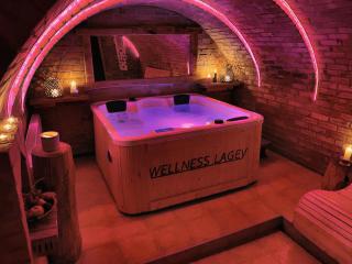 Wellness Holiday House Lagev - Moravske Toplice - 9
