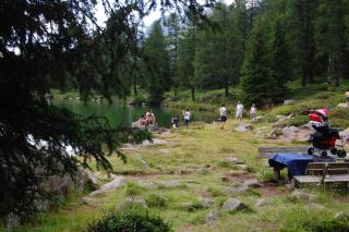 Residence Rododendro - 1