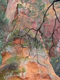 Villa des Roses - Roussillon - 7