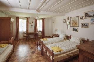 CityChalet historic - Interlaken - 7