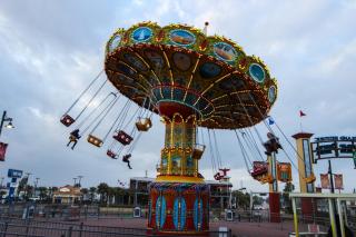 Happy in Margaritaville - 4