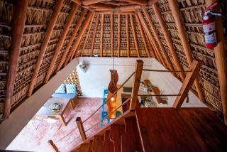 Casa Coconut - 1