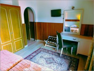 Hotel Olympic - Metsovo - 5