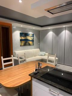 Appartement le Saint Simond - Aix-les-Bains - 3