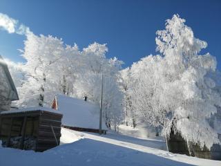 Mountain village - Žabljak - 5