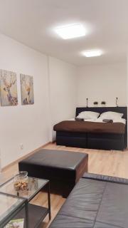 Rezidence pod zámkem Mikulov - apartmán 205 B - Mikulov - 3