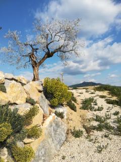 Pie des Ayrolis - 7