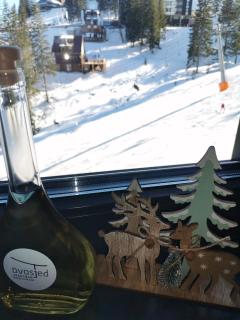 Jahorina apartmani Dvosjed - 7