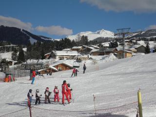 Appartement REINE DES PRES - Megève - 2