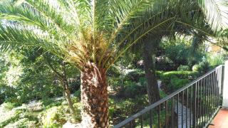 Clip B-2 - Llafranc - 7